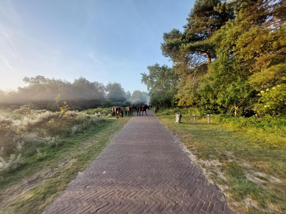 Zomerhuis Simoons Egmond aan Zee Buitenkant foto